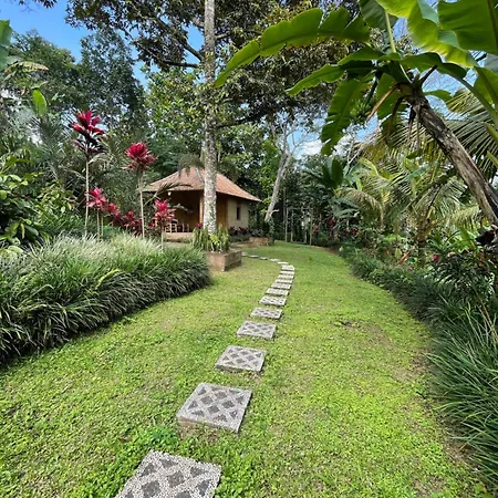Manada Villa Homestay